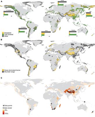 Beyond the Tree-Line: The C3-C4 “Grass-Line” Can Track Global Change in the World’s Grassy Mountain Systems